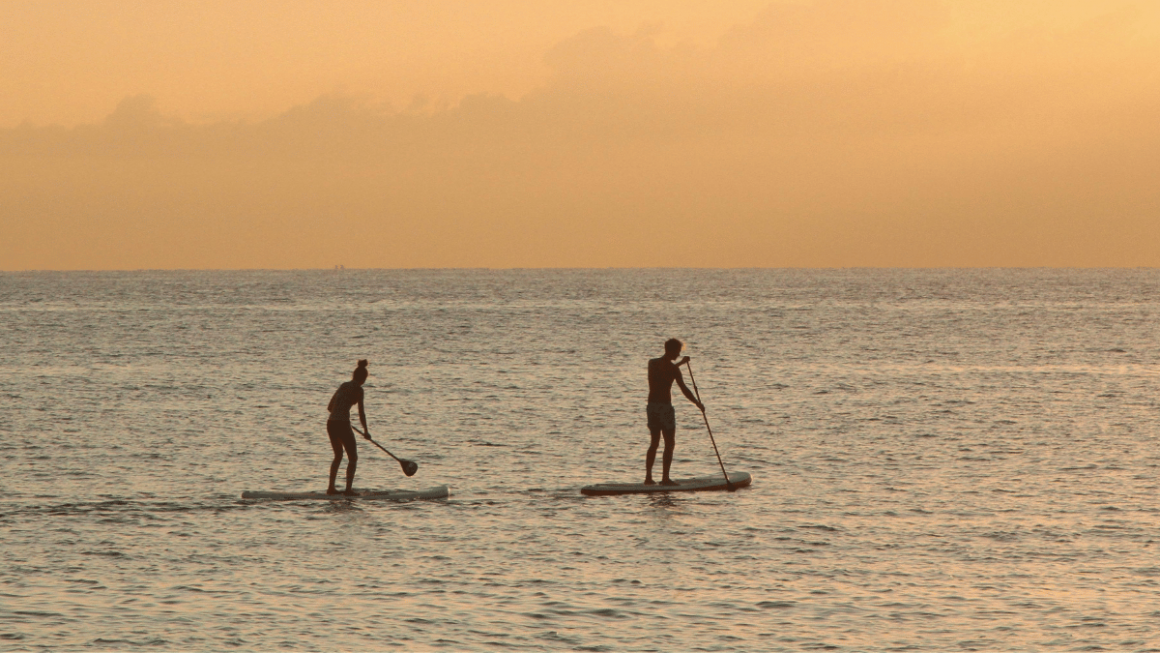stand up paddle