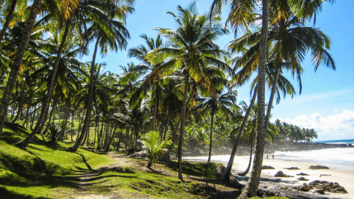 Salvador com a MSC Cruzeiros