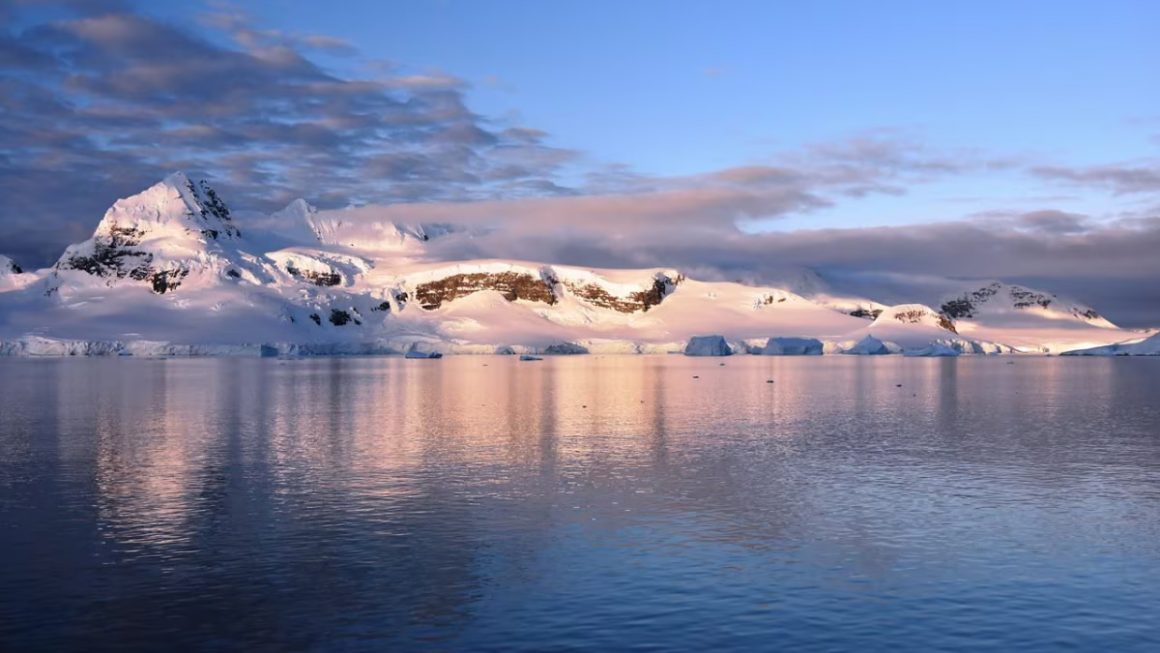 antártida princess cruises