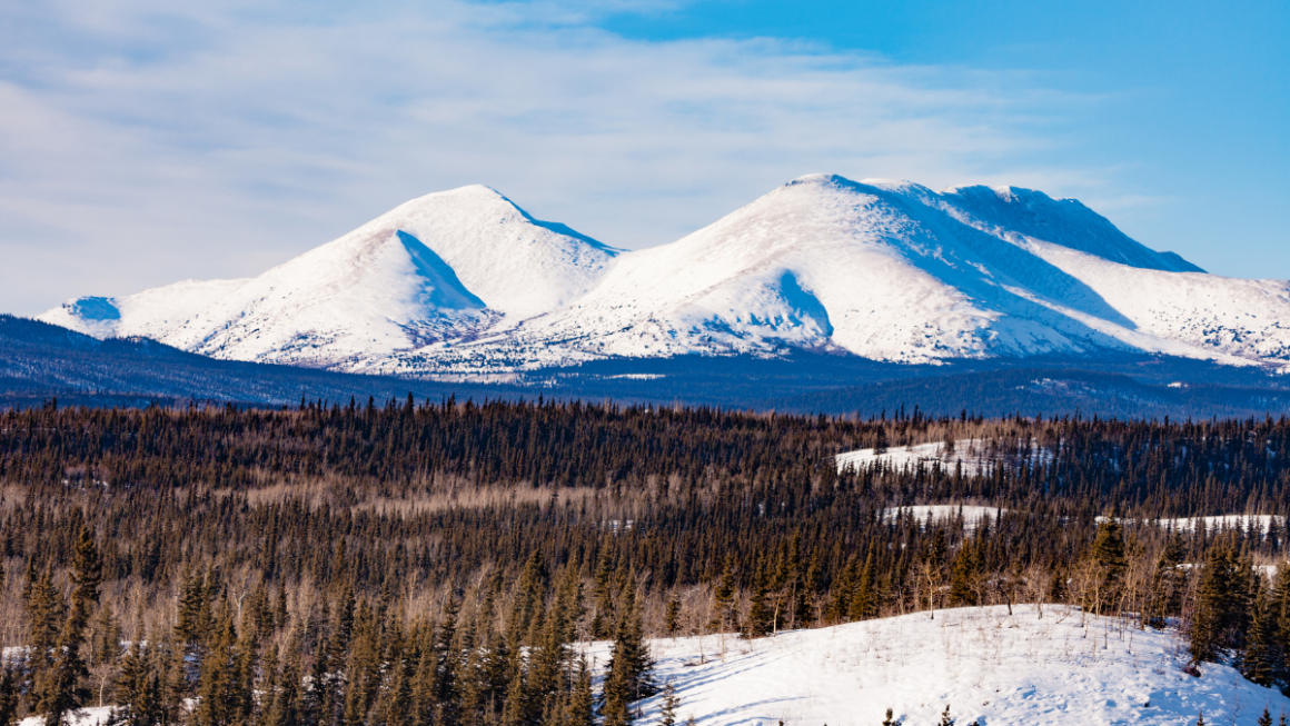 yukon canada alasca holland america line