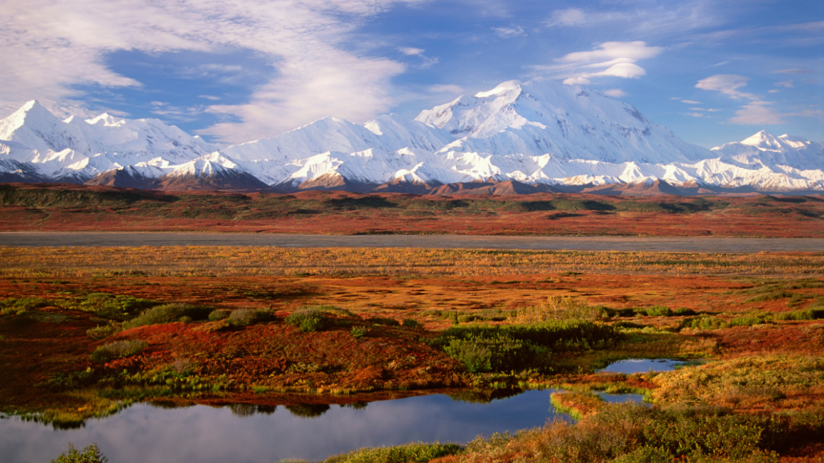 Parque Nacional Denali alaska alasca