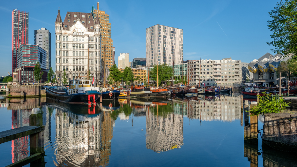 holland america line destino