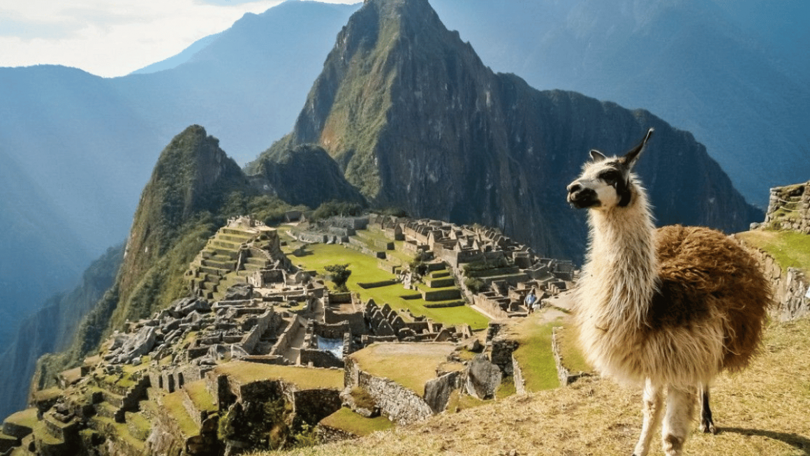 Machu Picchu