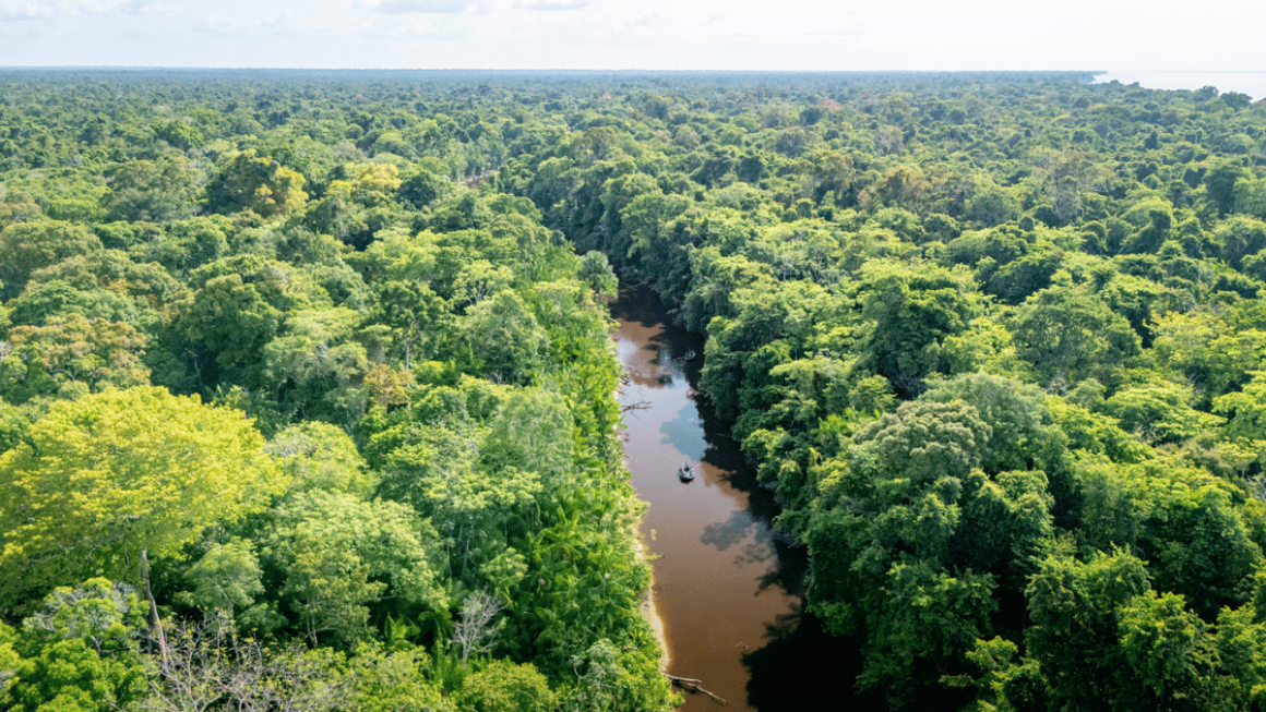 Amazônia com a Swan Hellenic