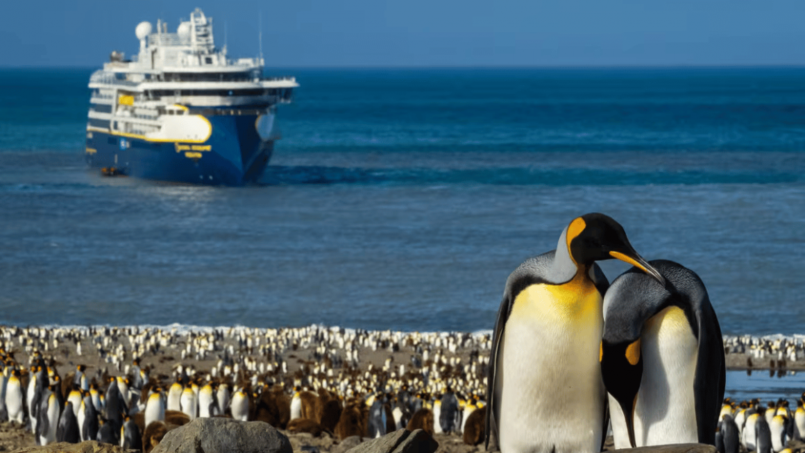 Expedição na Antártica