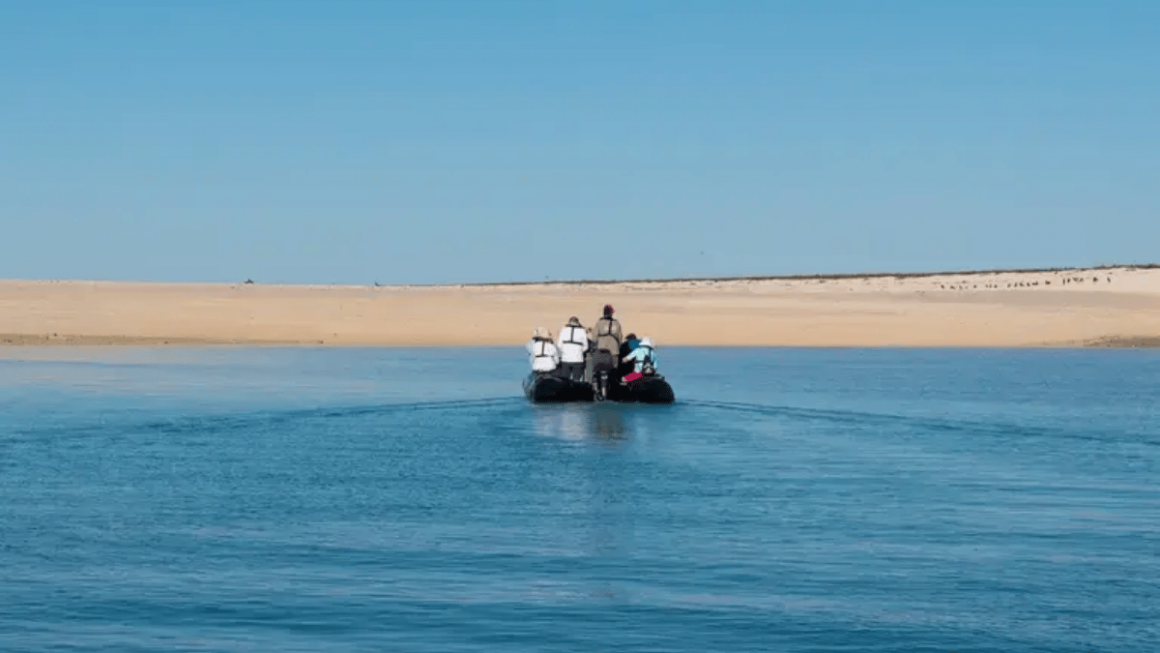 Bote Zodiac da Ponant