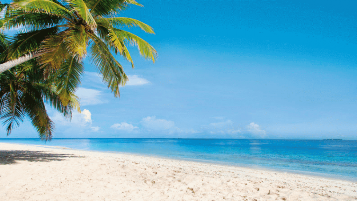 Ilha Catalina, República Dominicana msc cruzeiros